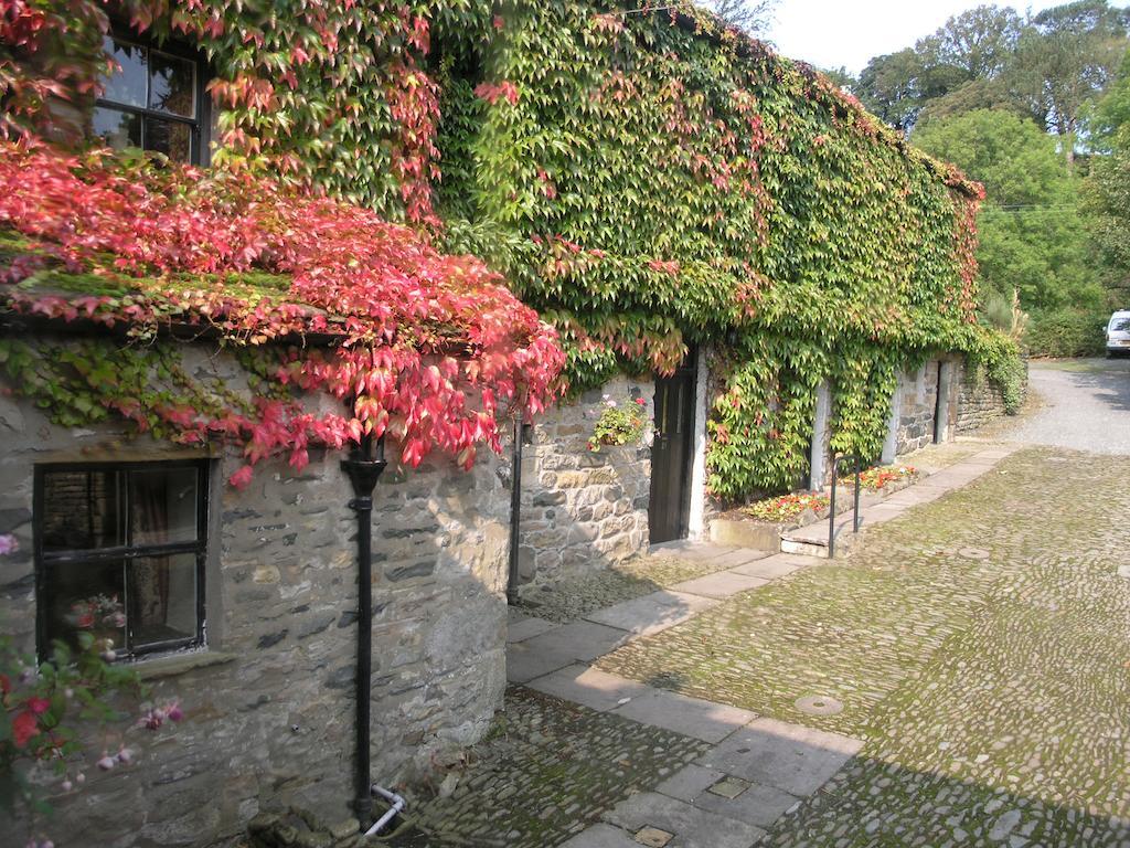 Гостьовий будинок Thorns Hall Седберг Екстер'єр фото